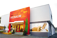Fassadengestaltung Hiebaum